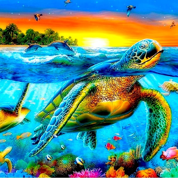 Meet your Posher, Johnny - Picture 1 of 1